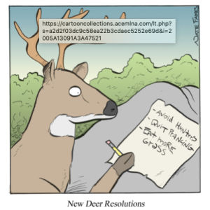 New Deer Resolutions