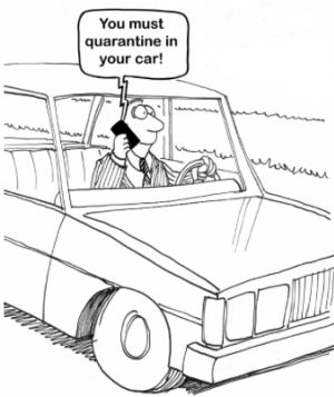 Quarantine in your car